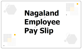 Nagaland employee pay slip